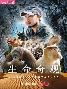 《生命奇观》：一场震撼心灵的自然史诗，探索生命的无限可能与奥秘