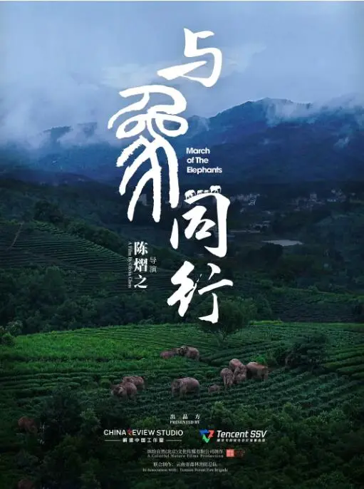 《与象同行》：温情治愈系旅程，感悟生命力量与不屈的奋斗史